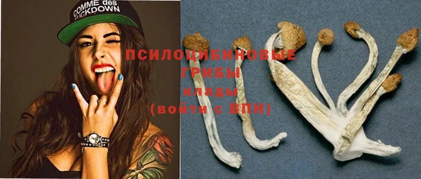 кокаин Вяземский