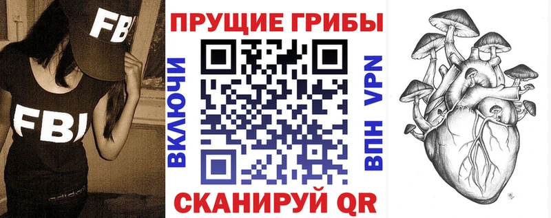 Купить  Котельники  Псилоцибиновые грибы GOLDEN TEACHER 