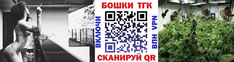 Купить закладки  Котельники  Бошки марихуана Ganja 